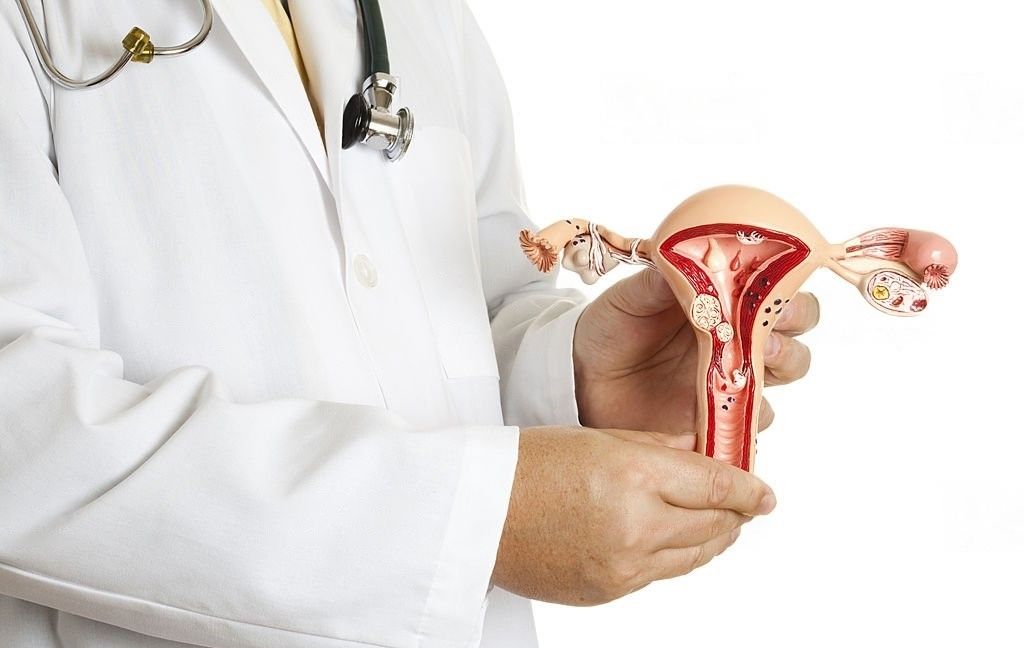 The Role of Nutrition in Managing Fibroids: What Women Need to Know