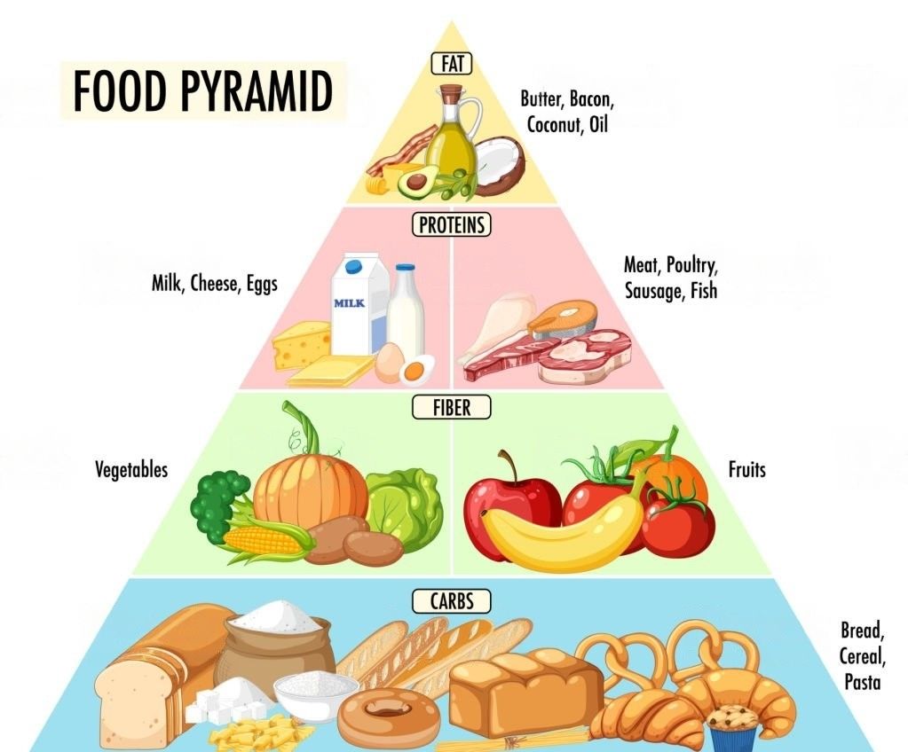 Building a Healthy Diet: The Basics of the Food Pyramid Explained