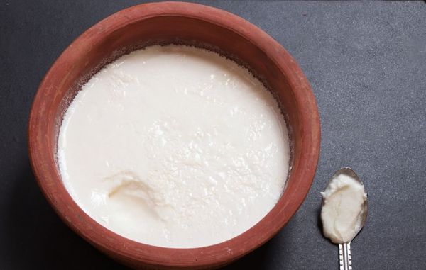 Curd for weight loss? Good or Bad